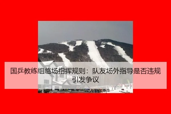 国乒教练组临场指挥规则：队友场外指导是否违规引发争议